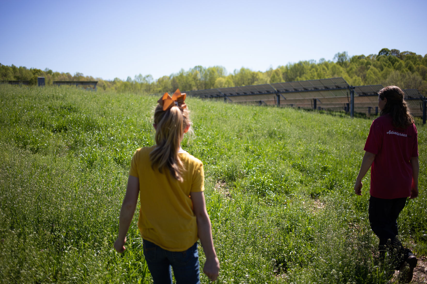 Sheep Farm_18.jpg
